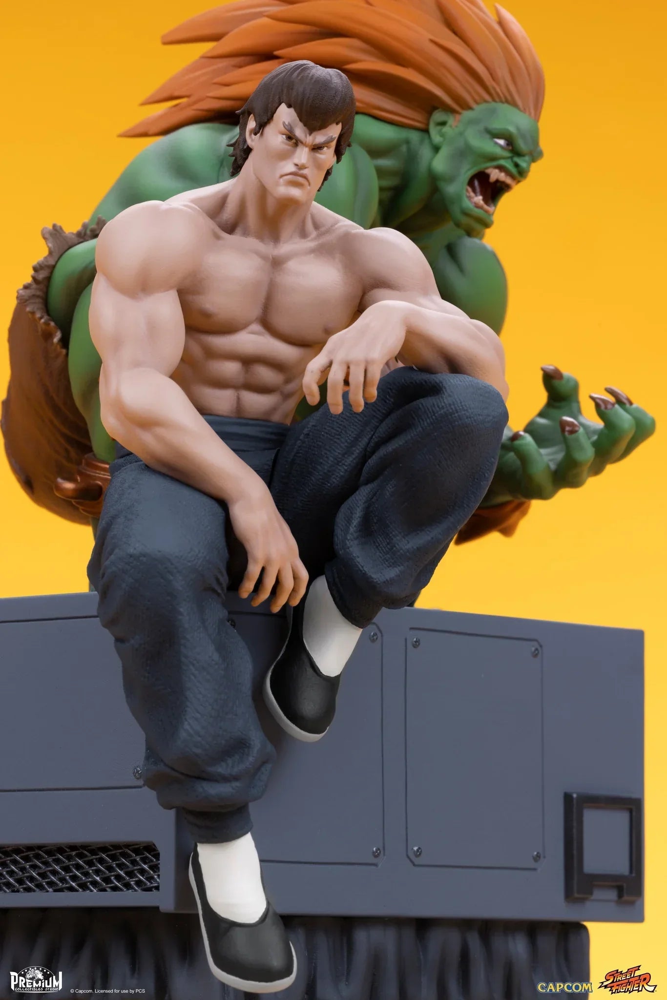 BLANKA & FEI LONG Sammlerstück-Set von PCS