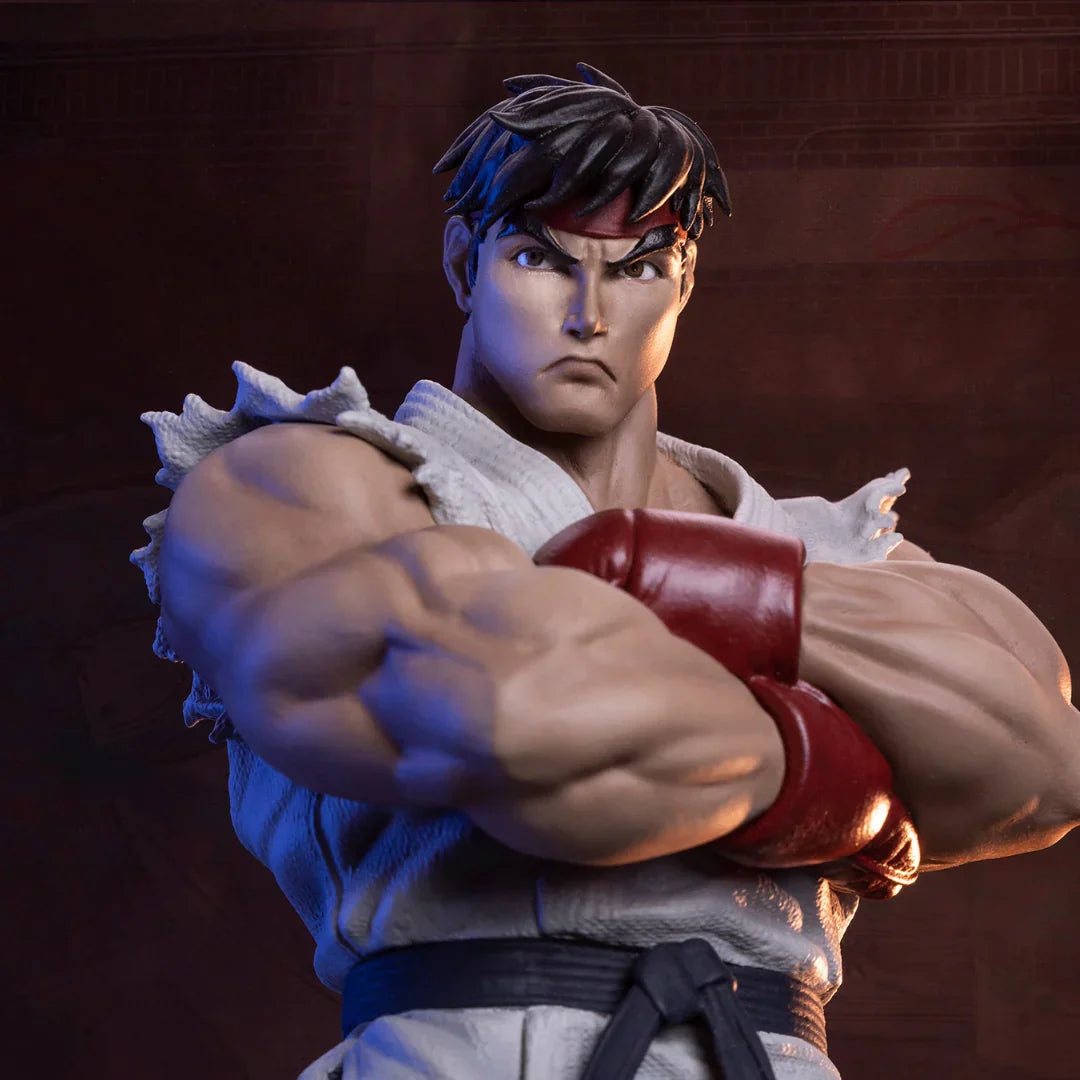RYU & DAN Sammlerset von PCS