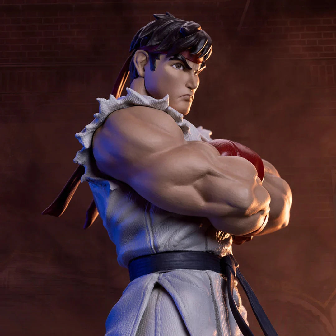 RYU & DAN Sammlerset von PCS