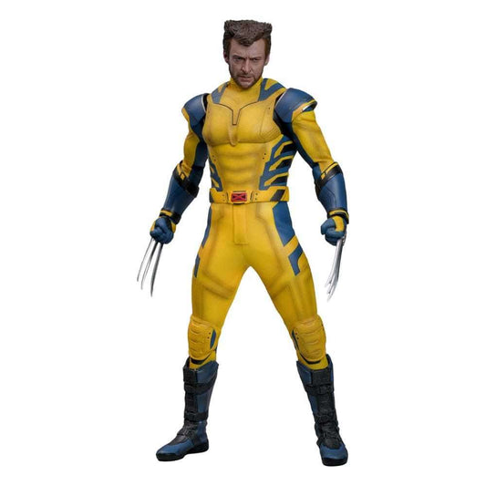 WOLVERINE (DELUXE VERSION) Sechster Maßstab Figur von Hot Toys