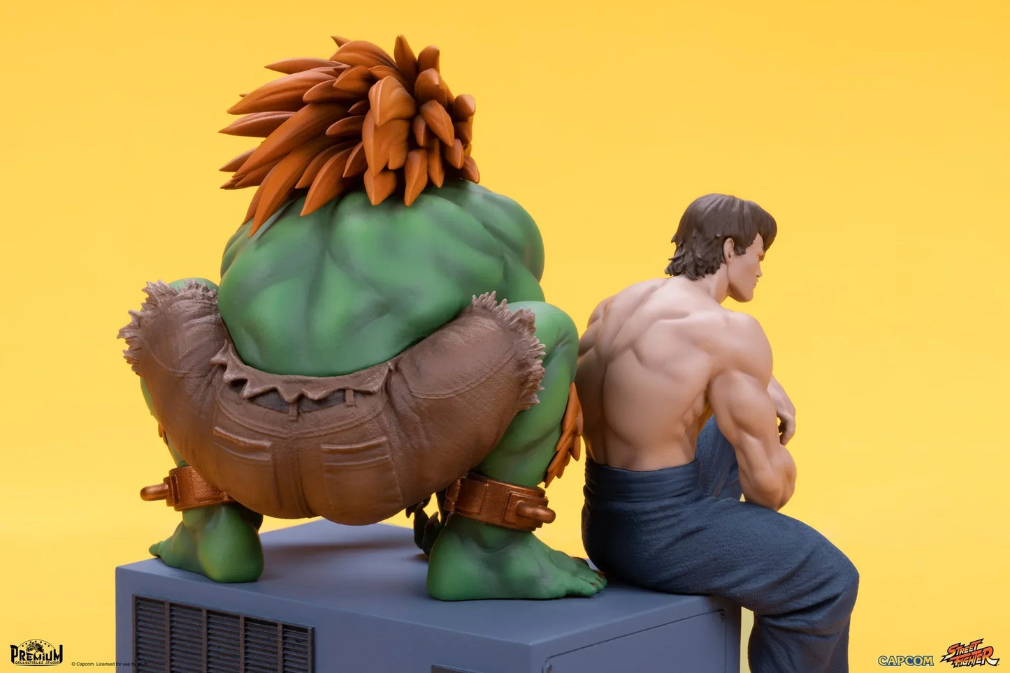 BLANKA & FEI LONG Sammlerstück-Set von PCS