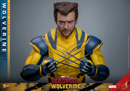 WOLVERINE (DELUXE VERSION) Sechster Maßstab Figur von Hot Toys