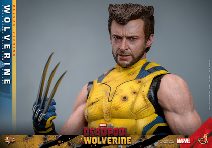 WOLVERINE (DELUXE VERSION) Sechster Maßstab Figur von Hot Toys