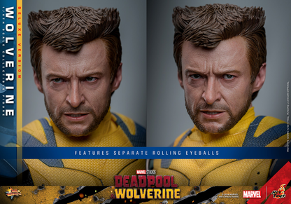WOLVERINE (DELUXE VERSION) Sechster Maßstab Figur von Hot Toys