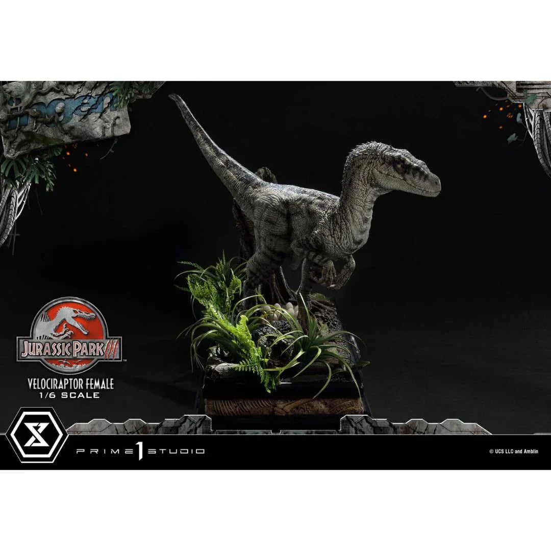 Prime 1 Studio Jurassic Park III (Film) Velociraptor Weiblich Bonusversion Statue