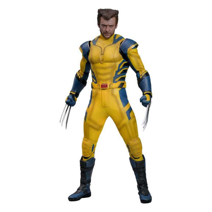 WOLVERINE (DELUXE VERSION) Sechster Maßstab Figur von Hot Toys