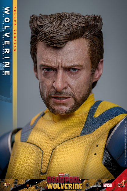 WOLVERINE (DELUXE VERSION) Sechster Maßstab Figur von Hot Toys