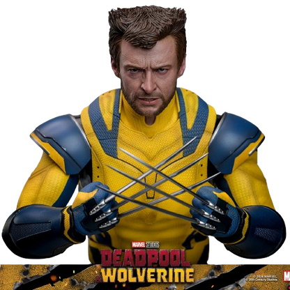 WOLVERINE (DELUXE VERSION) Sechster Maßstab Figur von Hot Toys